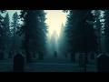 Eternal Love Beneath the Lonesome Pines: A Country Hymn