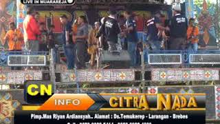Download Lagu PANONDARI  - CITRA NADA Live Muarareja Blok.Bongkor - TEGAL MP3 Download Lagu PANONDARI  - CITRA NADA Live Muarareja Blok.Bongkor - TEGAL MP3