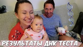 РЕЗУЛЬТАТЫ ДНК ТЕСТА ГОТОВЫ! РЕЗУЛЬТАТЫ ДНК ТЕСТА ГОТОВЫ!