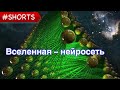 Вселенная нейросеть | #Shorts