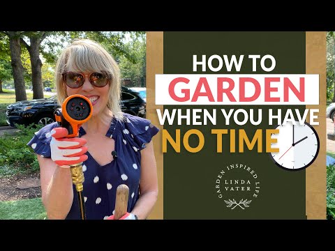 Vídeo: Clock Garden Design - Què són els Clock Gardens