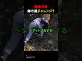 無敵の男蜂の巣チャレンジ？