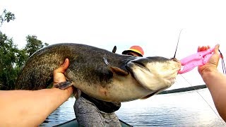 видео: !! СОМ СОШЕЛ С УМА !! ВЕЧЕРНИЙ  РАЗРЫВ !! ЛОВЛЯ СОМА НА КВОК 2019 / Рыбалка на сома / Catfish / Сом картинка: !! СОМ СОШЕЛ С УМА !! ВЕЧЕРНИЙ  РАЗРЫВ !! ЛОВЛЯ СОМА НА КВОК 2019 / Рыбалка на сома / Catfish / Сом