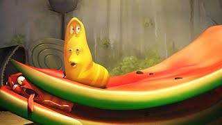 LARVA - MELANCIA | 2017 Filme completo | dos desenhos animados | Cartoons Para Crianças