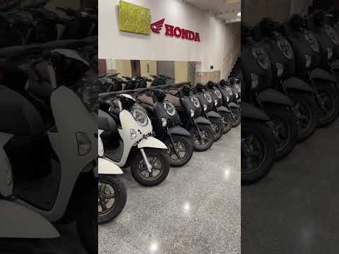 Scoopy110c khoá chìa 38.5 smk 43.5 hỗ trợ trả góp qua ngân hàng lh:0976989999 #Scoopy110c