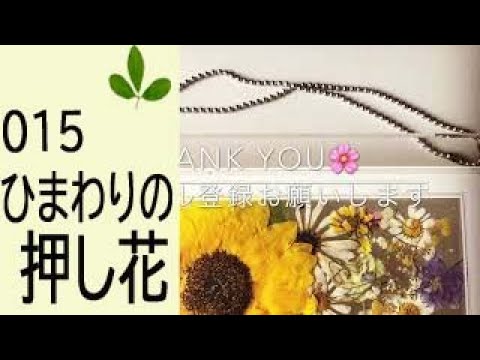 ひまわりの押し花の作り方 Youtube