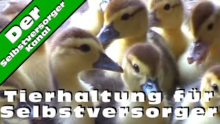 Tierhaltung fuer Selbstversorger