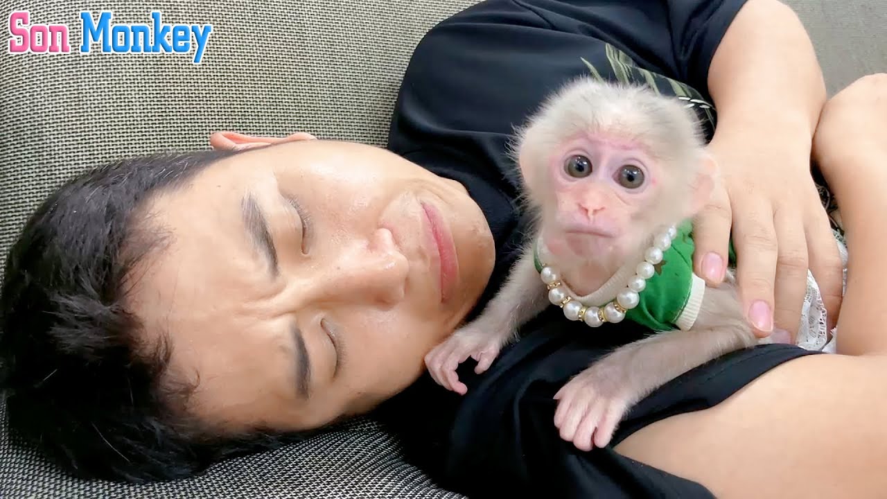 What unexpected thing happened when the Son monkey was seriously ill ? - Son Monkey