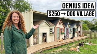 Woman Turns a $250 Shipping Container Into a Fully Off-Grid Shelter for Abandoned Dogs