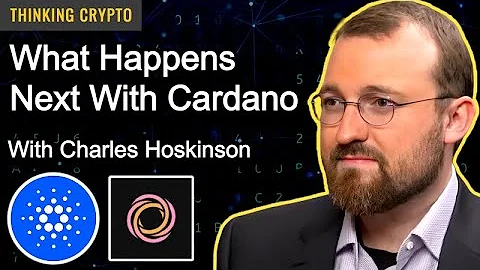 Charles Hoskinson Interview - Cardano ADA Lace Wal...