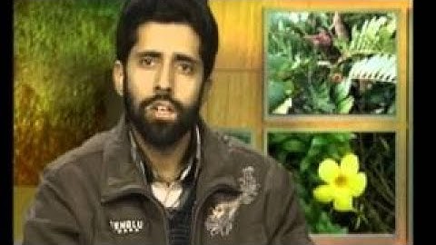 Origin Of Angiosperms