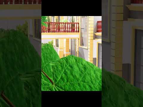 four bedroom house design