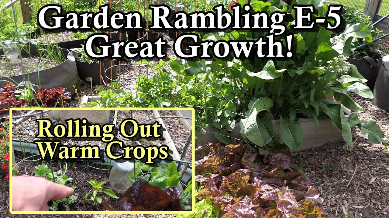 Plant Spacing, Warm Crop Planning, My New Book, Basil Tips: Garden ...