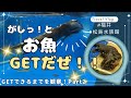【福井🐟越前松島水族館】part2 #かわうそ #可愛い #えさやり #魚 #水族館 #旅行