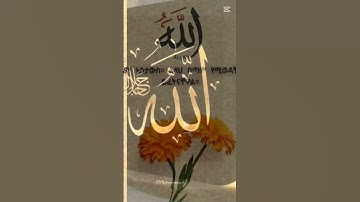 من سورة الكهف 🎧 شيخ الماهر