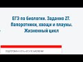 ЕГЭ по биологии. Задание 27. ПАПОРОТНИКИ, ХВОЩИ И ПЛАУНЫ: ХАРАКТЕРИСТИКА И ЖИЗНЕННЫЕ ЦИКЛЫ