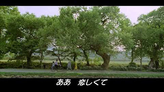 韓国映画 とかげの可愛い嘘まとめ Youtube