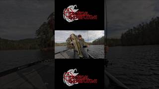 Don't Forget This Bait This Winter! 🎣