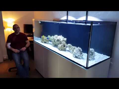 Red Sea Reefer 750 Xxl It S All Gone Wrong Youtube