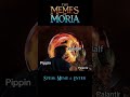 Fool of A Took! 🤣 #memesofmoria #lotrmemes #lotr