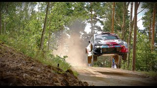 WRC Rally Estonia 2023 #rally