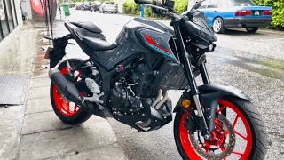 Yamaha Mt25 2022 - Grey - Walkaround
