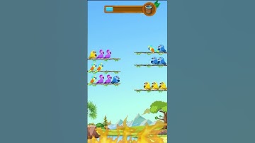 Bird Color Sort: Vibrant Puzzle Adventure | Relaxing Music