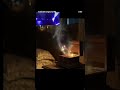 haunted 3d scene #trendingshorts #viral #shortsvideo #trending
