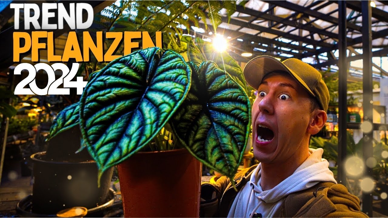 Diese Zimmerpflanzen machen EINDRUCK 😱 Leurs Gartencenter in Holland mit dem Pott Planter