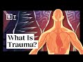 What is trauma the author of the body keeps the score explains  bessel van der kolk  big think