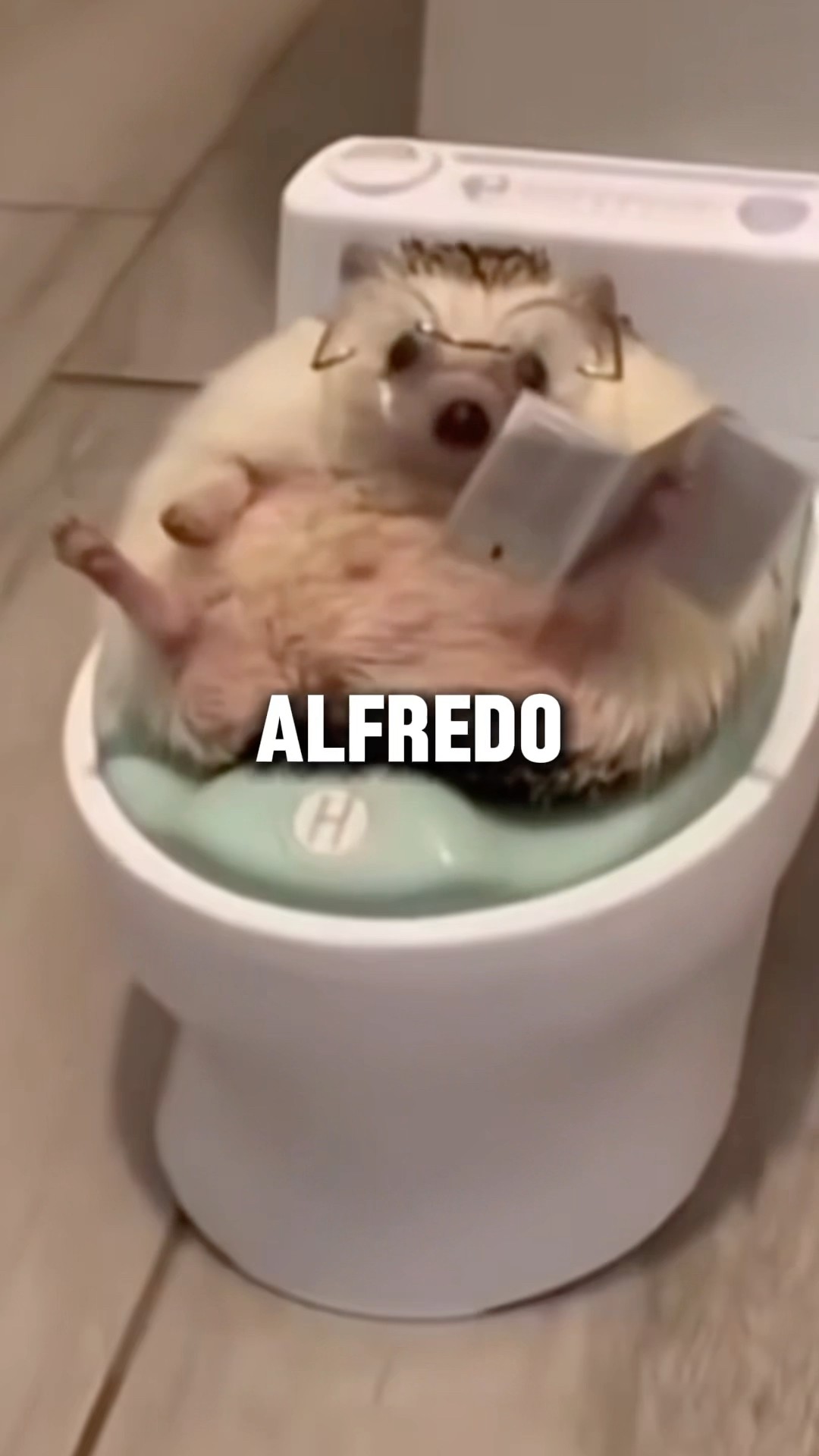 ME CUIDAS A ALFREDO? ? #Shorts