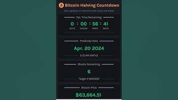 Bitcoin Halving Countdown 2024 NFT #004HVBTC