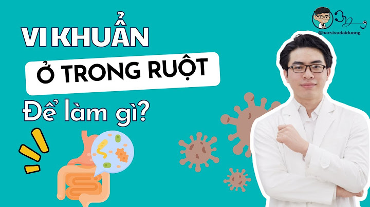 Lợi khuẩn đường ruột là gì năm 2024