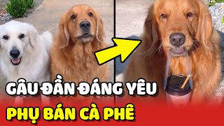 Hai bé Gâu Đần ĐÁNG YÊU Bông và Bụp bán cà phê KIẾM TIỀN nuôi em 😍 | Yêu Lu