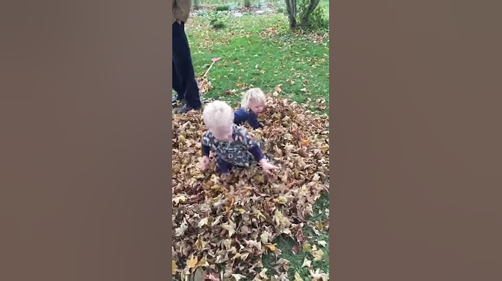 Fall 2015 race in the leaves