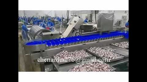 seafood poultry automatic weight sorting machine