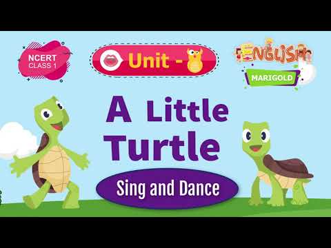 A Little Turtle - Marigold Unit 8 - NCERT English Class 1 [Sing and Dance]