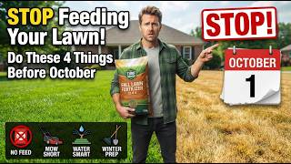 STOP Feeding Your Lawn! 🚨 Do These 4 Things Before October