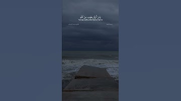 سورة التوبة آية ١١١ محمد اللحيدان
