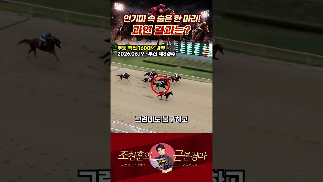 인기마 속 숨은 한 마리! 결과는?