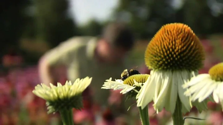 James Ault-Chicago Botanic Garden