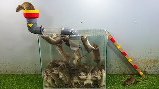 Top 10 Best Mousetrap Easiest Way To Catch 100 Mice Mouse Trap P2