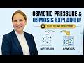 Osmotic Pressure & Osmosis Explained | Class 12 Chemistry Solution Chapter Colligative Properties