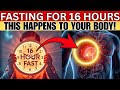 What Happens to Your Body When You Intermittent Fast for 16 Hours