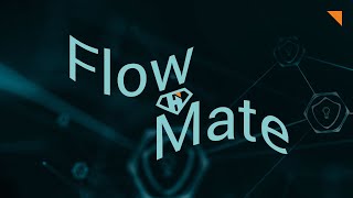 Introduction to the FlowMate BurpSuite Plugin