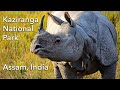 Kaziranga National Park - India's grassland kingdom