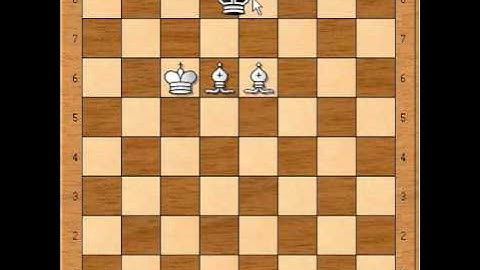 How to checkmate with two Bishops ? Tutorial video