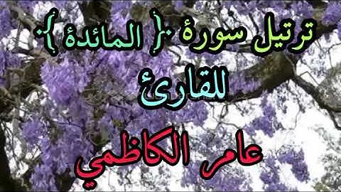 ترتيل سورة المائدة للقارئ عامر الكاظمي