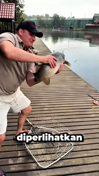 Download lagu Satu Detik yang Menghapus Semua Usaha