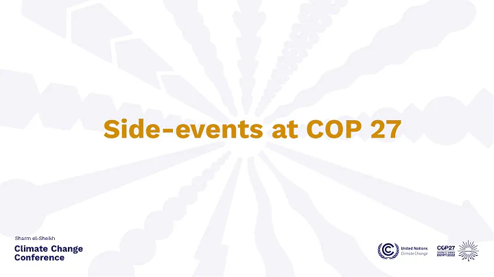 Enhancing climate action through peatlands